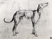 Albrecht Durer A Grayhound France oil painting artist